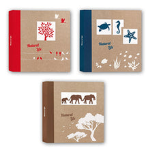 Zep NF293150 Album Pergamin 50 feuilles 29x31 cm 6 pièces