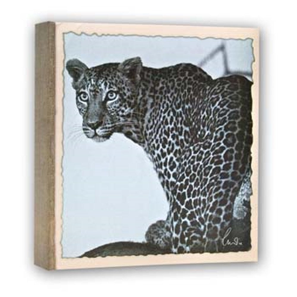 Zep WL57100 Album Slip-in 100 photos 13x19 cm - 12 albums