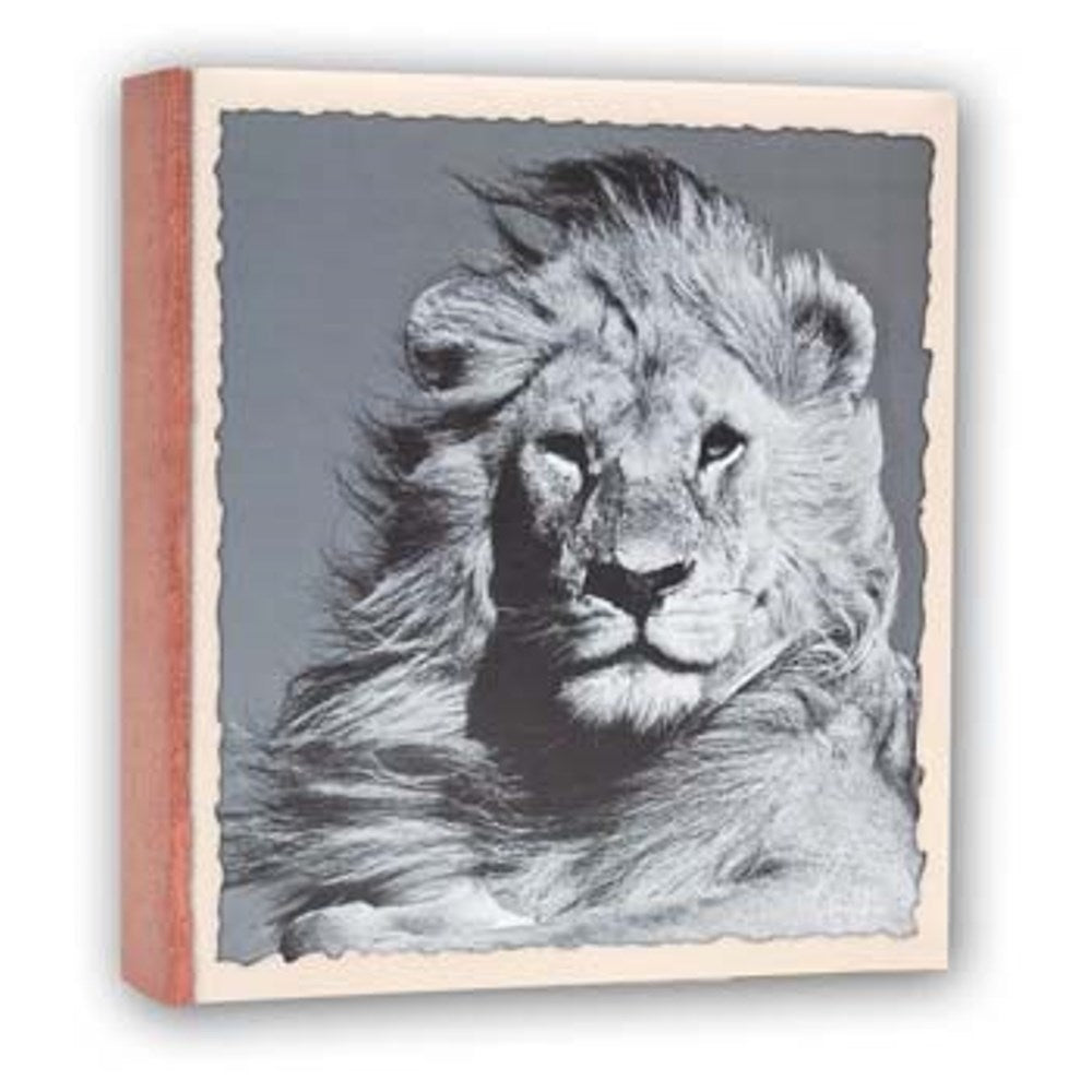 Zep WL57100 Album Slip-in 100 photos 13x19 cm - 12 albums — 2