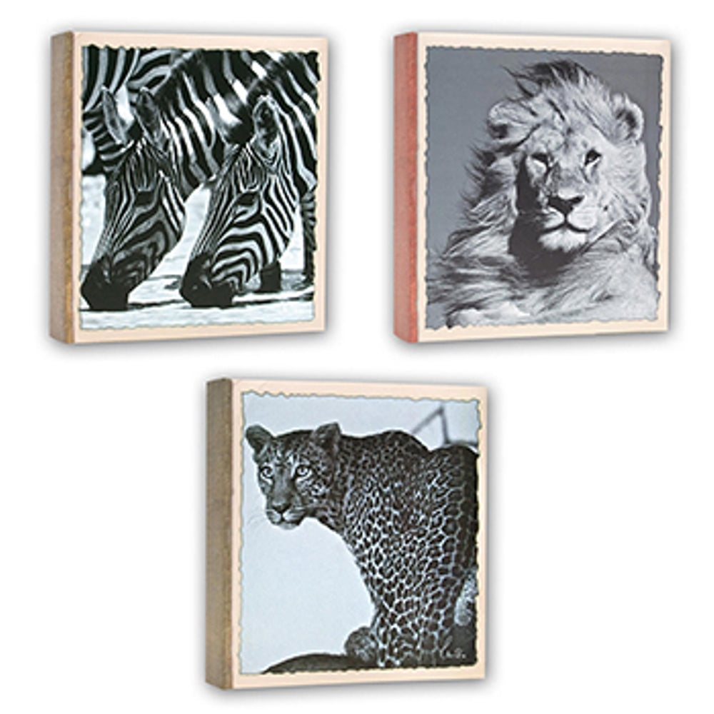 Zep WL57100 Album Slip-in 100 photos 13x19 cm - 12 albums — 4