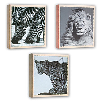 Zep WL57100 Album Slip-in 100 photos 13x19 cm - 12 albums — 4