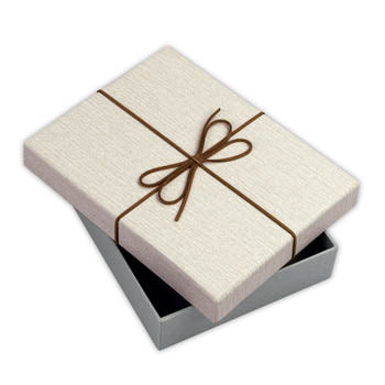 Zep Boîte de rangement BX3514A Box Piacenza A 15,3x21,4x4 — 4